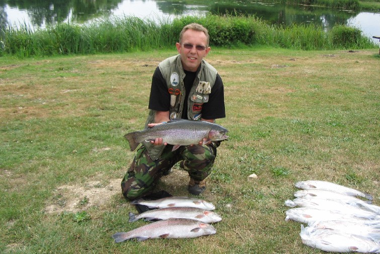 Four lovely Rainbow Trout.