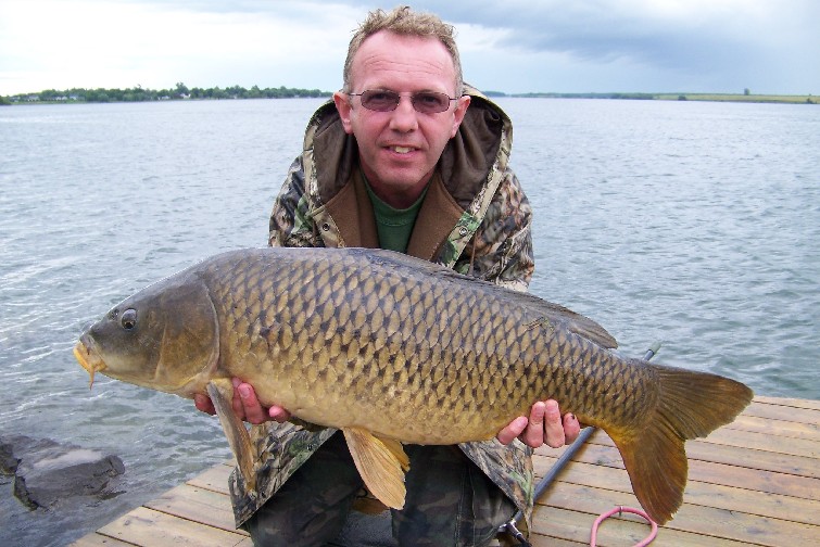 Common Carp.